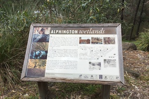 Alphington Wetlands