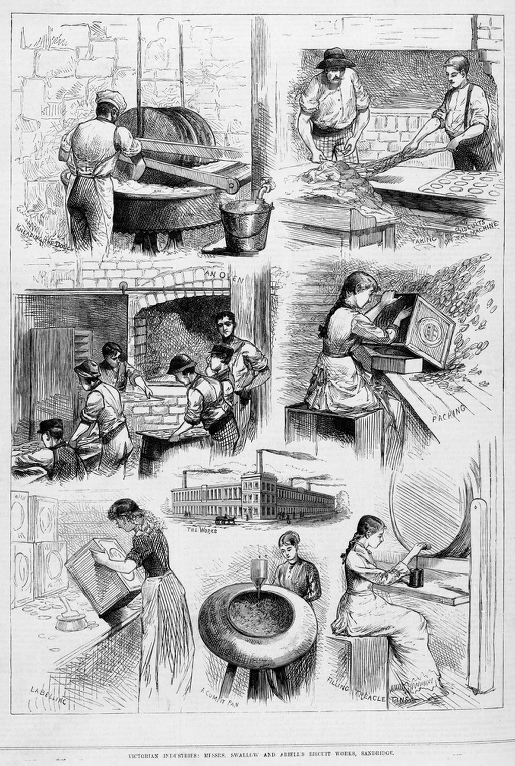 Women and men at work in "Messrs. Swallow and Ariell's biscuit works, Sandridge, 1882"